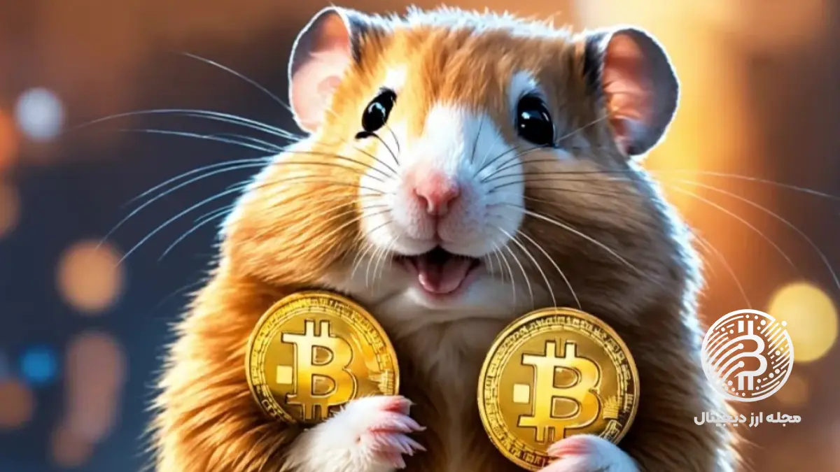 چرا همستر به تونکیپر واریز نمیشود؟